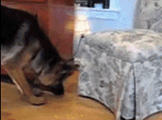 偷窥狂，我叫你偷看，叫你偷看，伦家也是有隐私的~