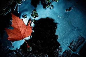 天水碧，染就一江秋色。