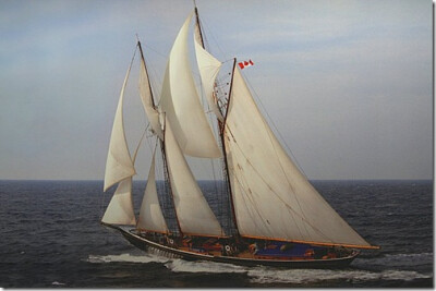 船名：蓝鼻子二号（BLUENOSE II）. Class: A. 船籍：加拿大. LOA: 49.07m. 帆型: 双桅上缘斜桁帆装纵帆船（Schooner Gaff-Rig）. 建造: 1963. 母港：卢嫩堡.