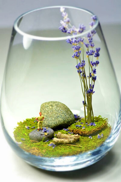 童话再造，DIY微景水晶球. 买一个玻璃瓶，使用一些新鲜的苔藓或者干燥的苔藓也可以，还有其他的一些植物，小石块，野花，还有可爱的小人，放在玻璃瓶里，就能变成一个微型的童话世界 一个小小的微景水晶球哦~是不是…