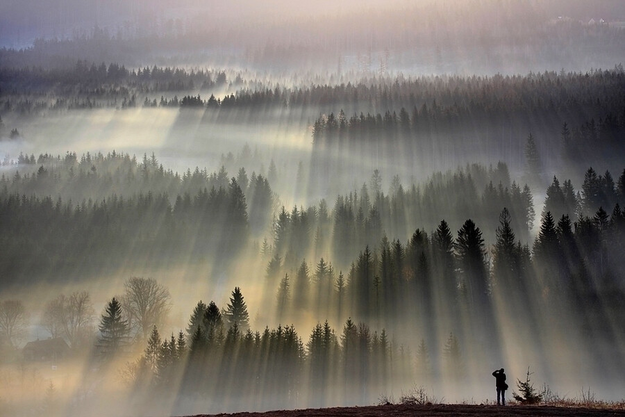 Photograph My friend bsk by Boguslaw Strempel on 500px