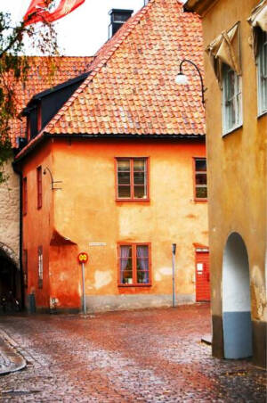 【瑞典維斯比Visby】，是瑞典哥德蘭島最大的城市，也是斯堪的納維亞地區保存最完好的中世紀小鎮，1995年被聯合國教科文組織評為世界文化遺産。在漫長的歷史歲月中保留下來還有環繞整個城市的3.4公里長稱為「環城城牆」（Ringmuren）的石頭城牆和古老的教堂遺迹。 也是宮崎駿電影『魔女宅急便』琪琪最後定居的城市克里克的原型，可以在影片中看見維斯比的圍繞城市石頭城牆、山丘上的市中心與鐘塔。