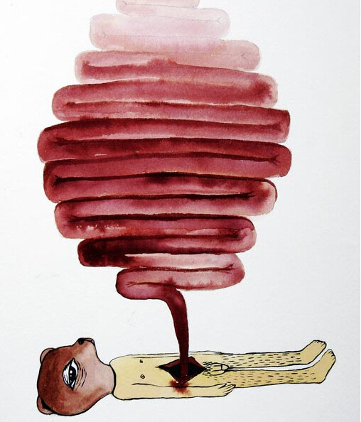 人的小肠很长，长约5—6米，小肠内表面有环形皱襞，皱襞表面有小肠绒毛，小肠绒毛内有毛细血管，小肠绒毛壁很薄，仅由单层上皮细胞组成