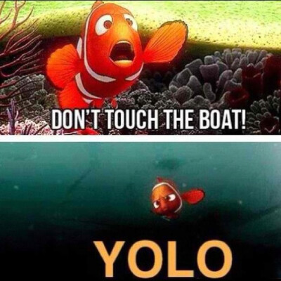 #Yolo