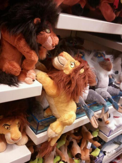 Lion King reenactment