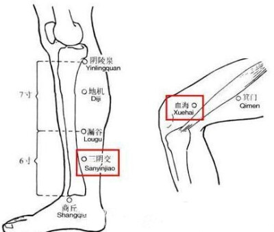 【祛痘就按两个穴位】1、三阴交（内脚踝上三寸 ----- 四指并拢就是三寸）；2、血海（两手臂交叉，左手掌扣住右膝盖，右手掌扣住左膝盖，大拇指下隆起最高处就是了）。每天要坚持按，在一段时间后，你就会有神奇的发…