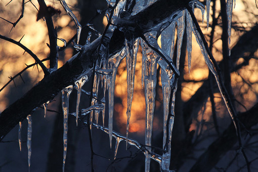 唯美图片：眼望冰雪，清凉一夏| jiaren.org