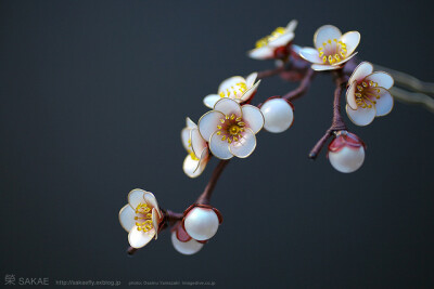 2011 白梅 簪 kanzashi「ひと枝」01