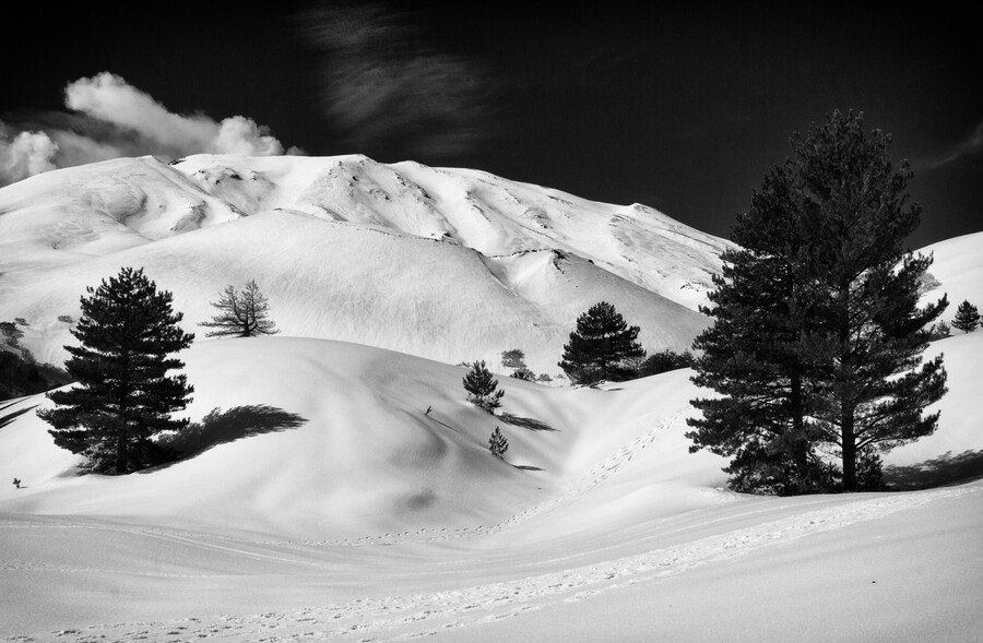 Photograph A Perfect Winter Day by Francesco Mangiaglia on 500px