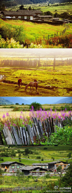 鲁朗，藏语意为“龙王谷”，一个让人不想家的地方。