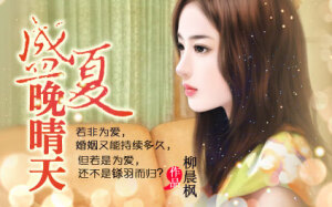 故事讲述了夏晚晴在遭遇好友算计、男友悔婚并落入连环圈套毫无退路的窘境下，被高智商、深  盛夏晚晴天威化自制伪海报 城府的“花花公子”乔津帆解脱困境，然而这一切不过是更加复杂庞大的圈套的初始，夏晚晴的真实身世逐渐浮出水面，而“花花公子”也不过是乔津帆的一张面具，一段最初因为“复仇 ”而开始的爱情最终令两个人绝处逢生