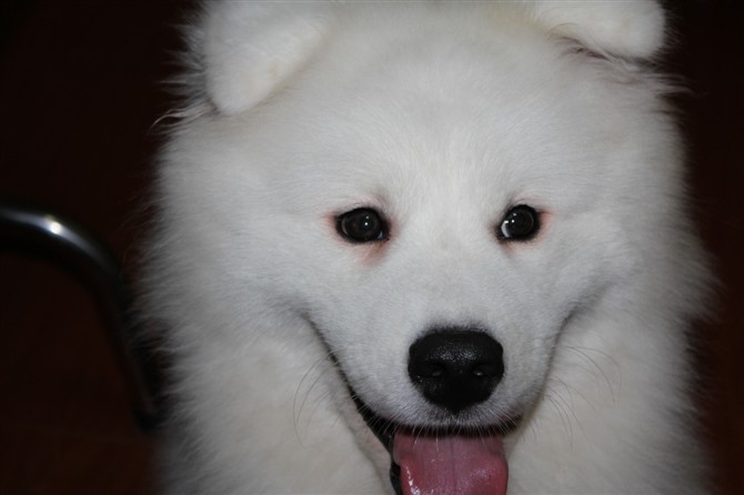 看我微笑的脸呢