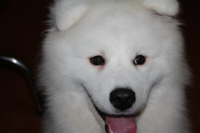 看我微笑的脸呢