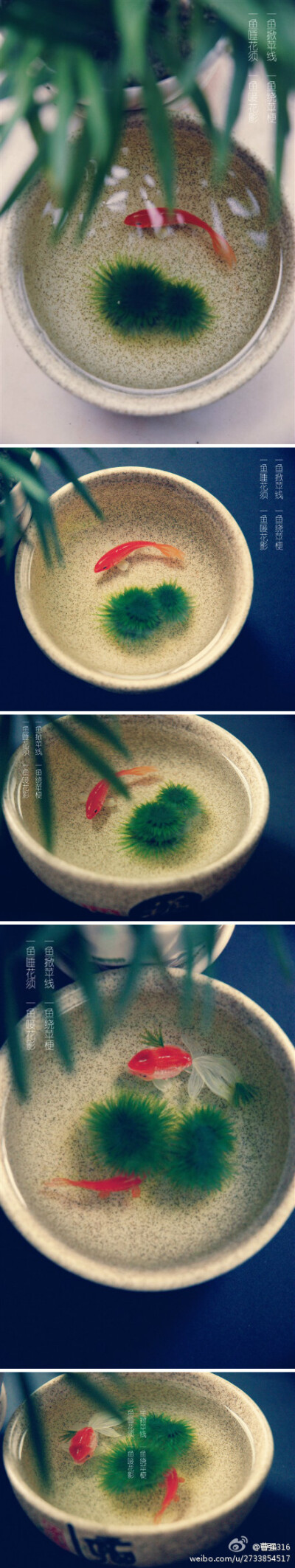 手绘树胶立体画，不错！http://weibo.com/u/2733854517#1343291081411