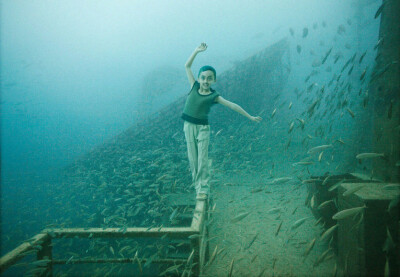 Andreas Franke，来自奥地利的摄影师。他将这场艺术展命名为“范登堡：地表下的生活”(The Vandenberg：Life Below The surface)。在去年，Franke探测了淹没在海里的“范登堡”号军舰，而他也在佛罗里达州拍摄了很多…