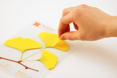 韩国设计师appree设计的leaf-it gingko（银杏）便笺纸书签，漂亮又有诗意.