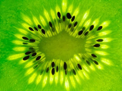 kiwi