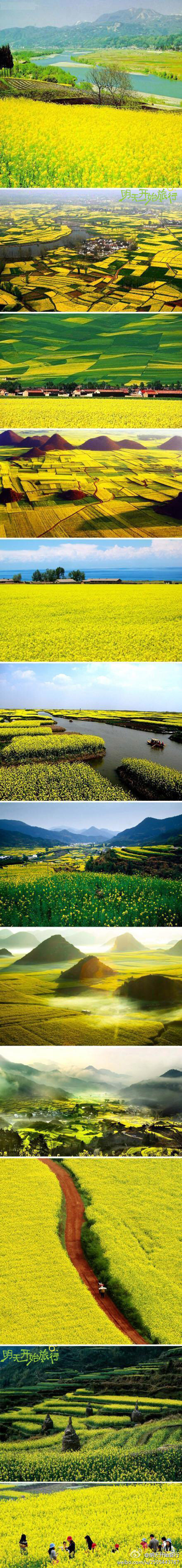 【中国十大最美油菜花海】陕西汉中花期。江苏兴化。湖北荆门花期。云南罗平。重庆潼南。青海门源。浙江瑞安。上海奉贤。江西婺源。贵州贵定。你想好了要去哪儿了吗？