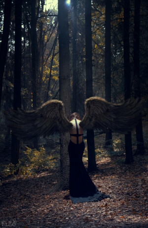 Photograph Wings Of Sorrow by Stanislav Istratov on 500px