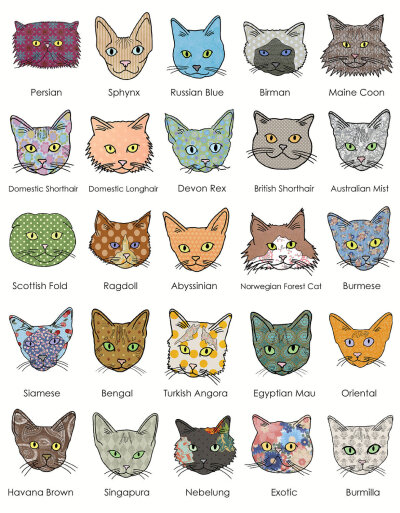 Types Of Cats - 各种猫..