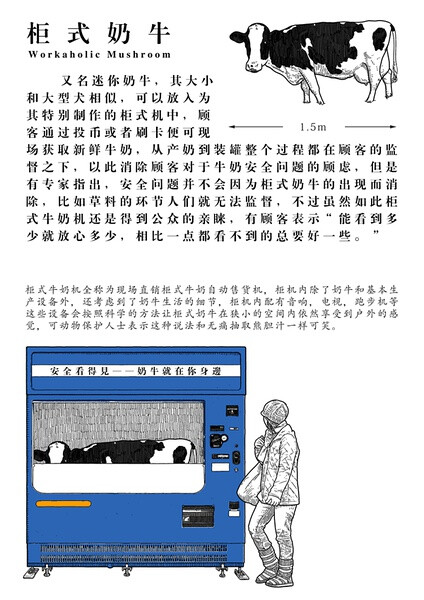 又名迷你奶牛，其大小和大型犬相似，可以放入为其特别制作的柜式机中，顾客通过投币或者刷卡便可现场获取新鲜牛奶，从产奶到装罐整个过程都在顾客的监督之下，以此消除顾客对于牛奶安全问题的顾虑，但是有专家指出，安全问题并不会因为柜式奶牛的出现而消除，比如草料的环节人们就无法监督，不过虽然如此柜式牛奶机还是得到公众的亲睐，有顾客表示“能看到多少就放心多少，相比一点都看不到的总要好一些。