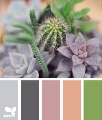 succulent color