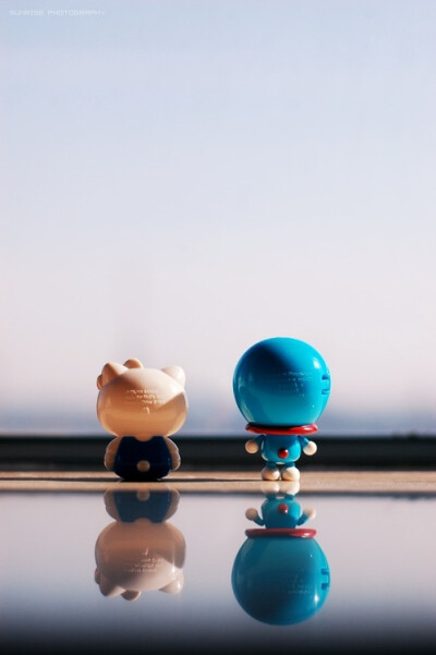 我爱你 哪怕你没有口袋