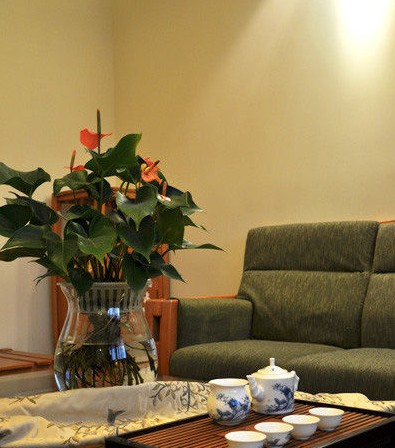 中式田园混搭 造就100平3口之家