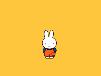 cute miffy ~