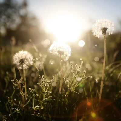 如果我爱上你的笑容 要怎么收藏要怎么拥有 -------五月天（知足）