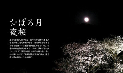 旧暦の一年「朧月。夜桜」