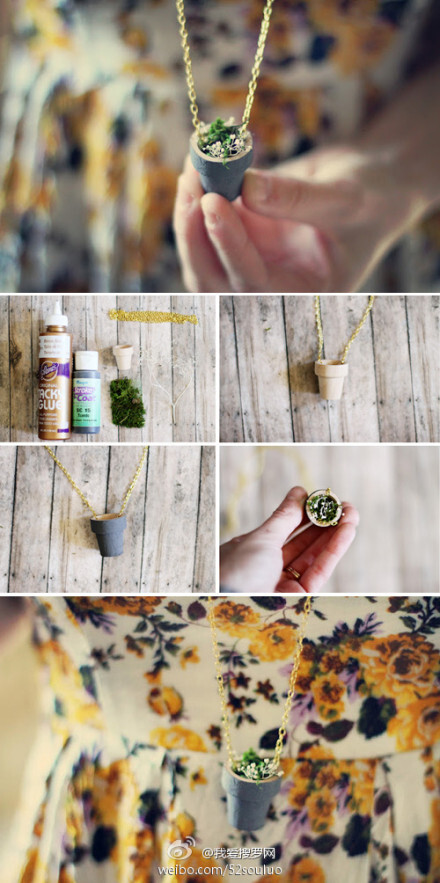 迷你氧气盆栽——DIY植被项链http://www.52souluo.com/42866.html