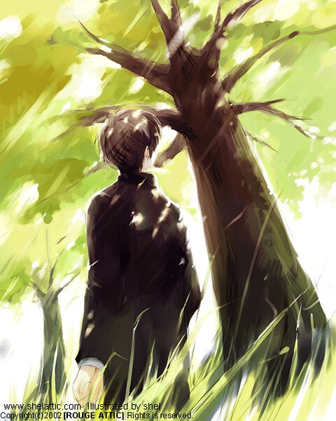 各类插画都有哦~从初中开始就认识SHEL了~