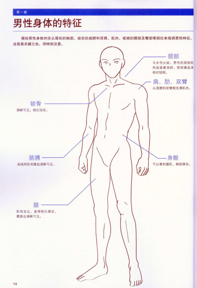 男性人物绘画造型