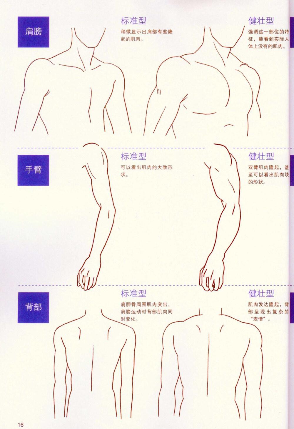 男性人物绘画造型