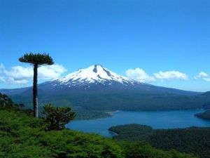 Araucania , CHILE