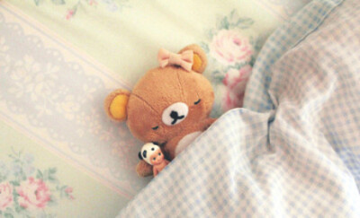 熊君小时候，晚安好梦哟~
