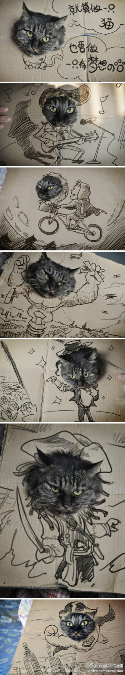 当猫遇上画家