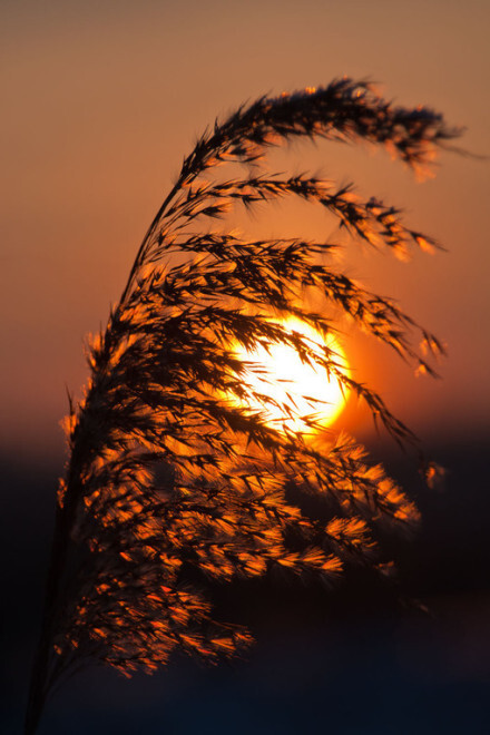 秋风厌倦漂泊，夕阳赖着不走