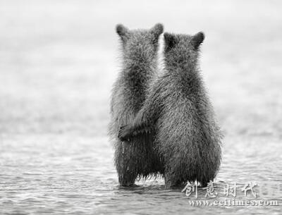 额......耍流氓？