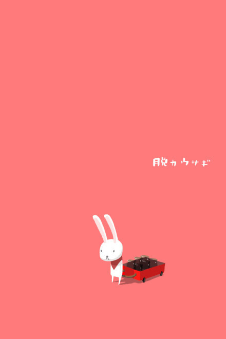 rabbit