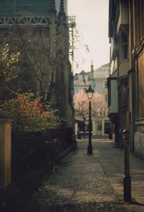 Paris Alley