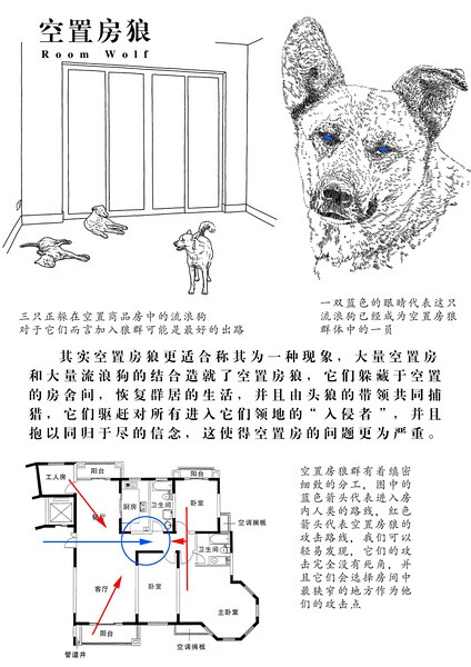 “空置房狼”，其实空置房狼更适合称其为一种现象，大量空置房 和大量流浪狗的结合造就了空置房狼，它们躲藏于空置的房舍间，恢复群居的生活，并且由头狼的带领共同捕猎，它们驱赶对所有进入它们领地的“入侵者”，并且抱以同归于尽的信念，这使得空置房的问题更为严重。