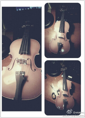 violin