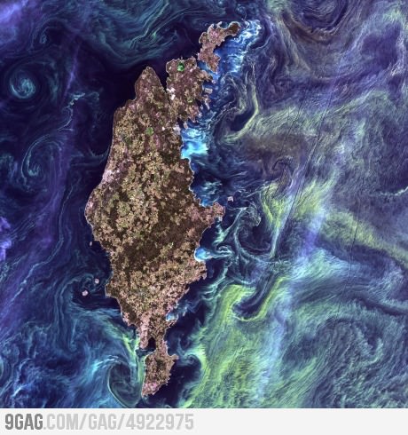 Gotland, Sweden, looks like "Starry night" from space