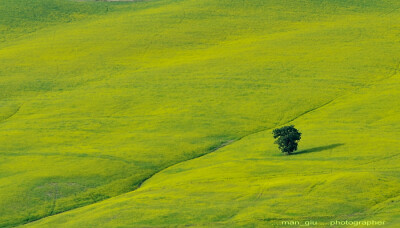 Photograph Green .....point by Giuliano Mangani on 500px