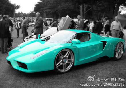 Tiffany蓝的Ferrari Enzo~