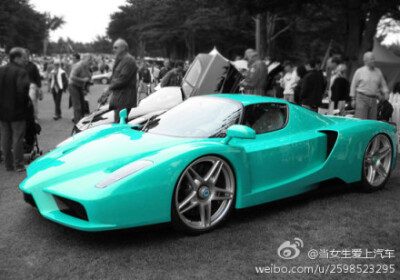 Tiffany蓝的Ferrari Enzo~