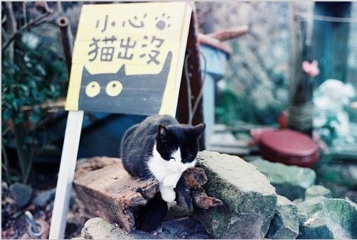 年华是封无效信