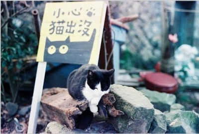 年华是封无效信